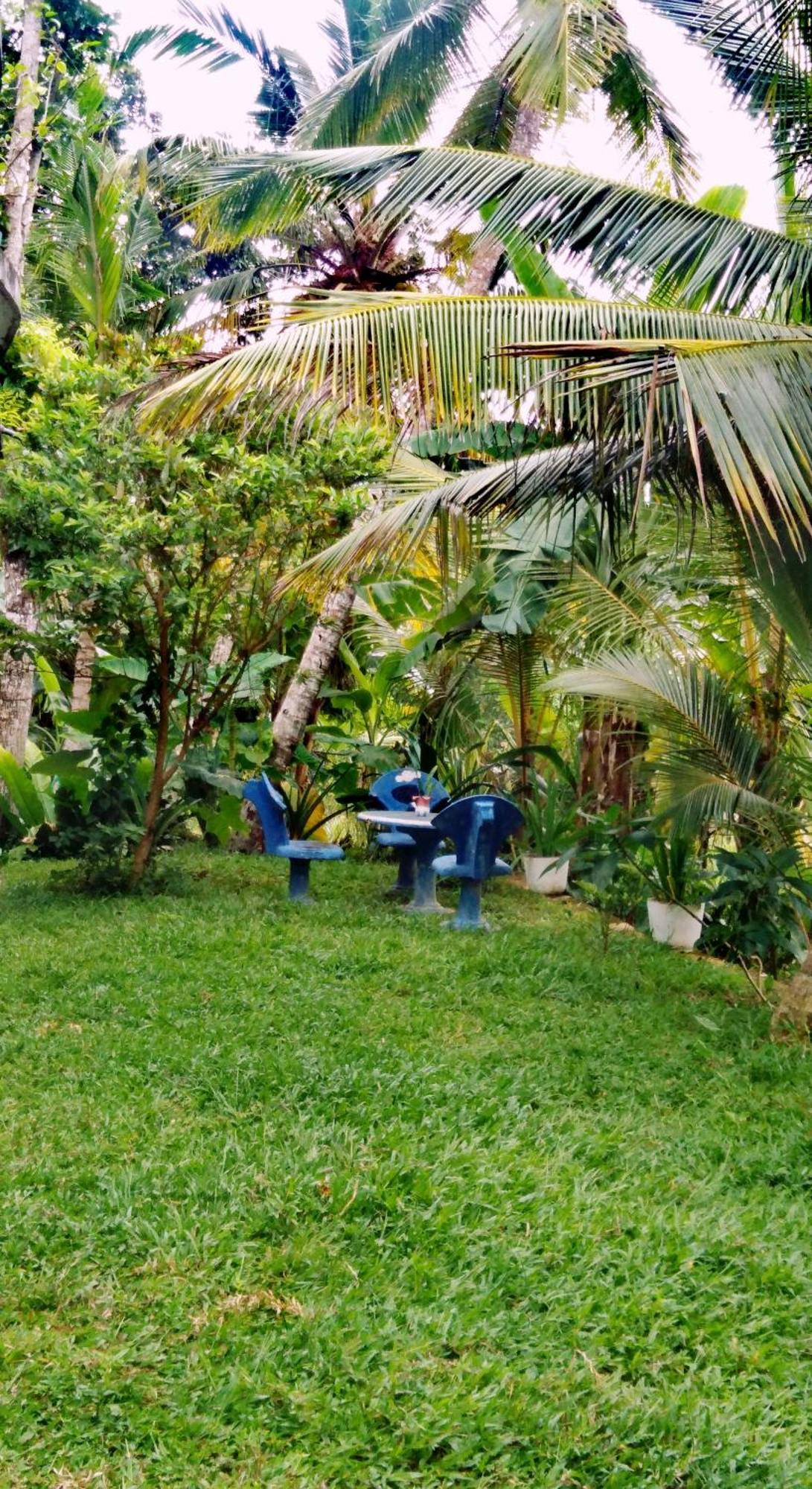 Field Island Villa - Ahangama Esterno foto