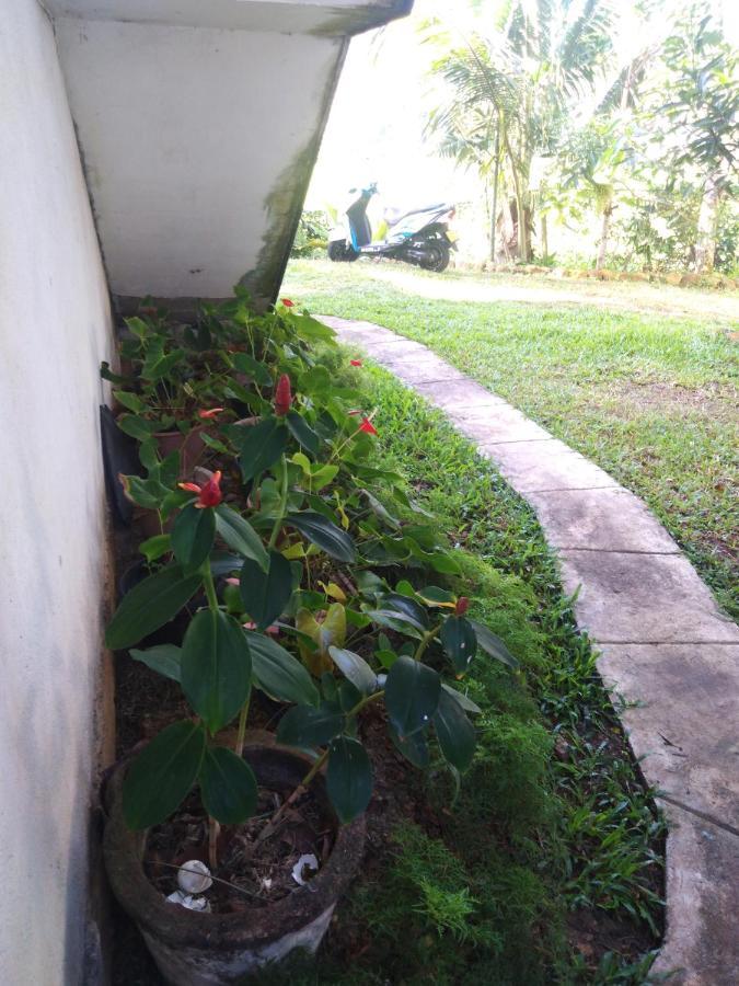 Field Island Villa - Ahangama Esterno foto